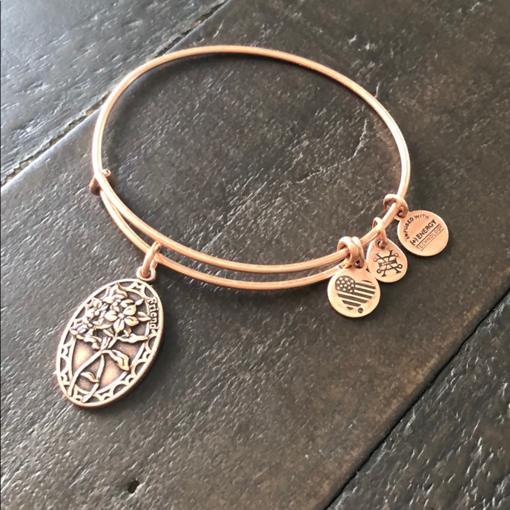 Brand new Alex &Ani bracelet